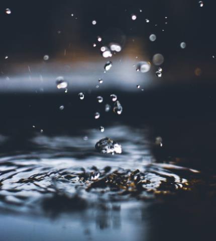 1657703599481642.jpg 18.jpg